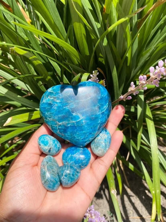 Apatite Tumbled Stones- Migraines | Knowledge | Eyesite